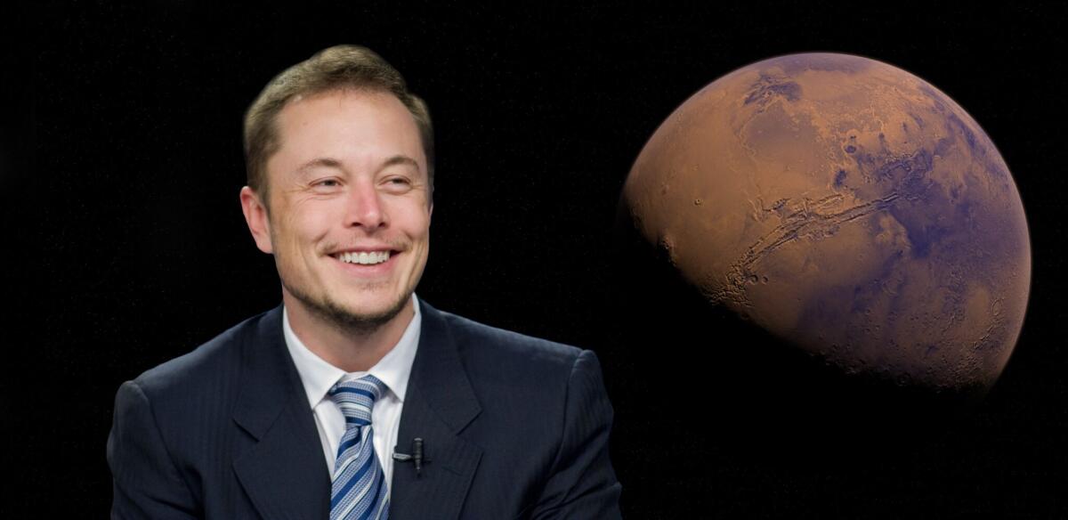 La vita di Elon Musk, il visionario del 21esimo secolo - 