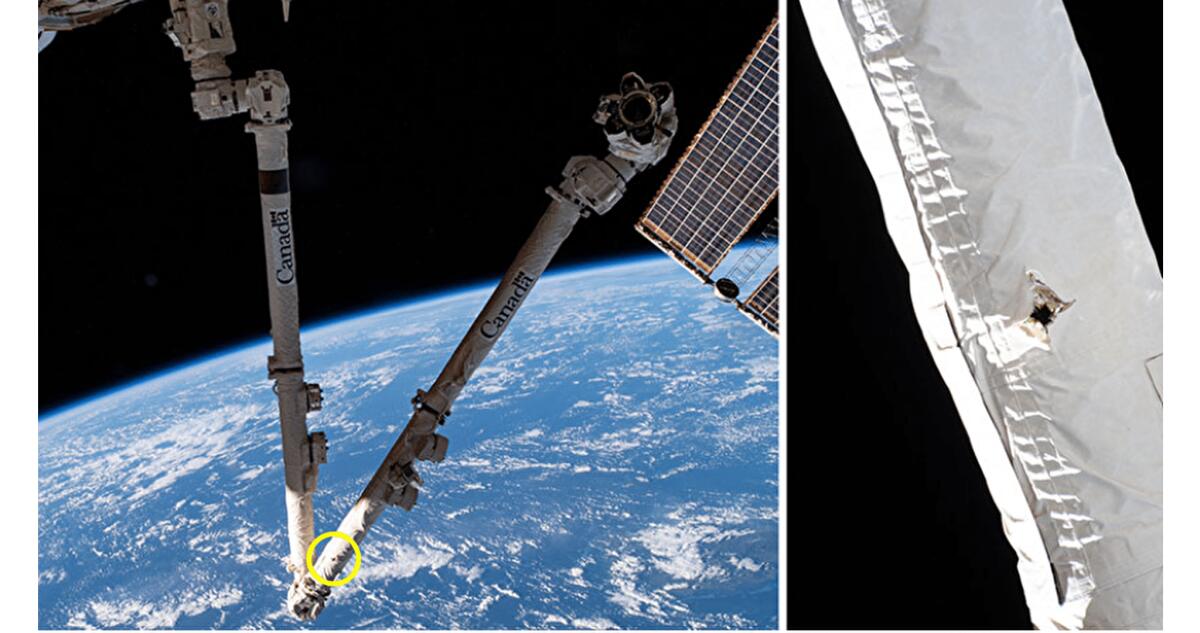 Braccio robotico della ISS colpito da un detrito spaziale - 