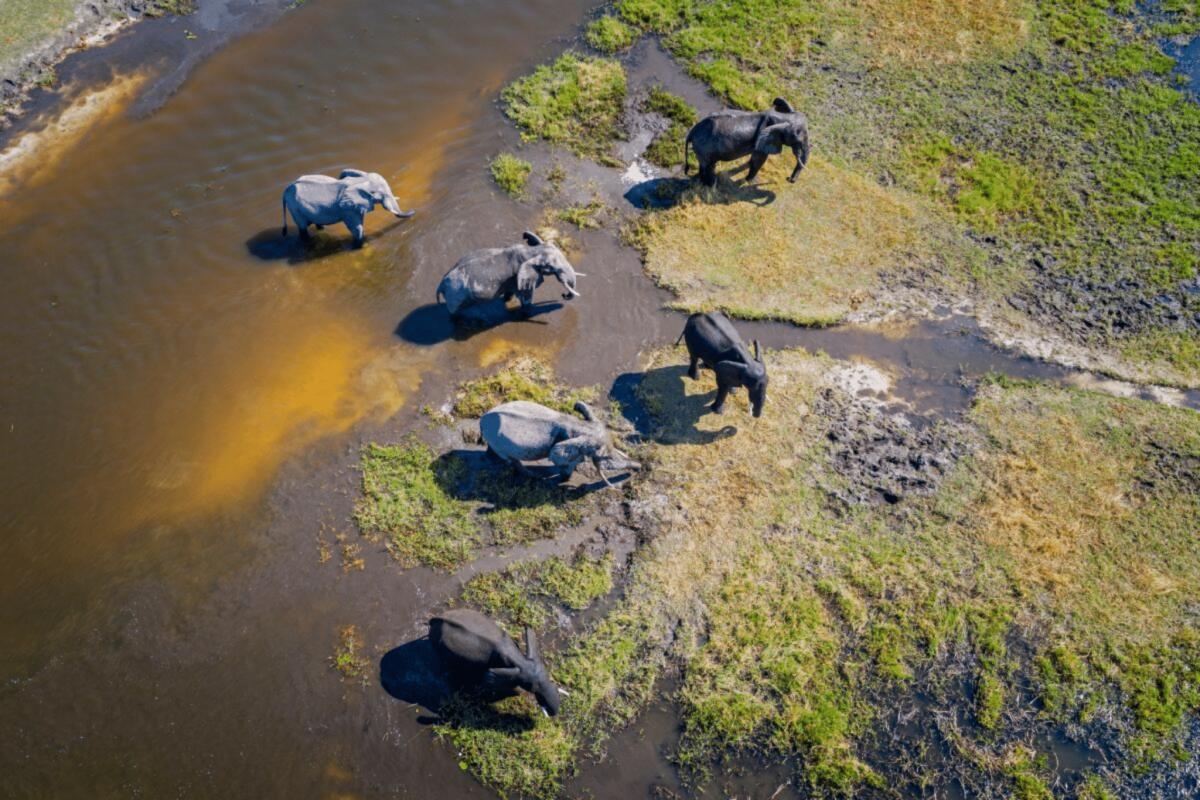 ReconAfrica tra Namibia e Botswana: catastrofe ambientale? - lonelyplanet.com