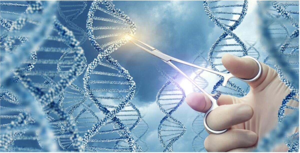 La nuova frontiera del gene editing: il sistema RLR - 