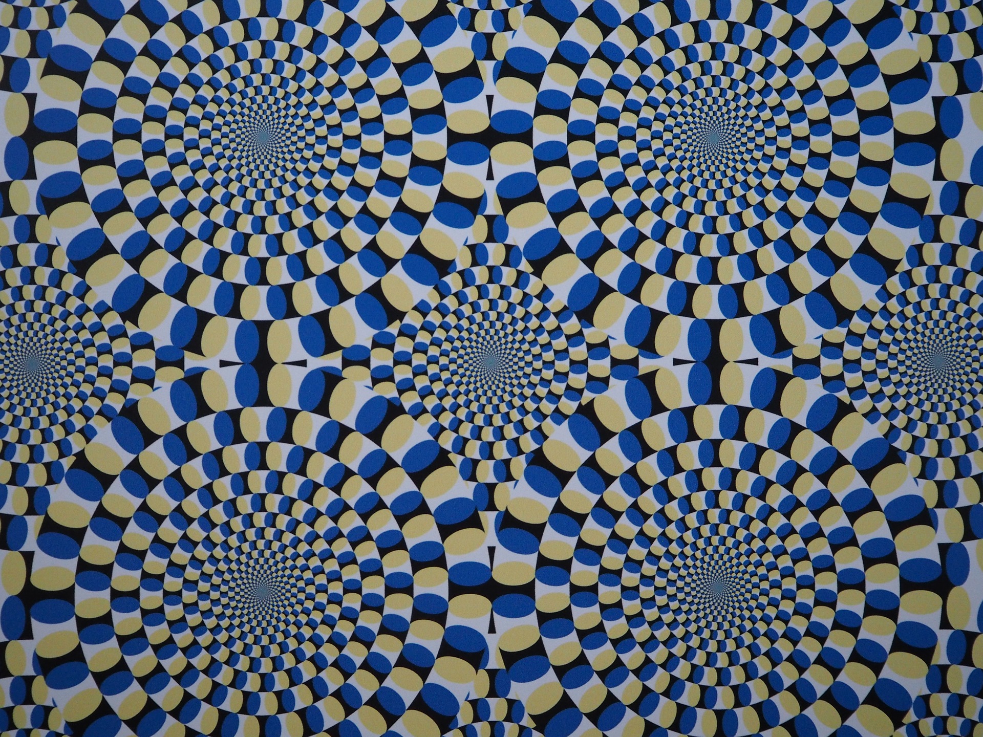 Il nostro cervello a volte ci inganna facendoci percepire cose che non esistono o diverse da quelle che esistono (nell’immagine sopra, ad esempio, molti percepiscono una qualche forma di movimento che in realtà non esiste trattandosi di una immagine stati