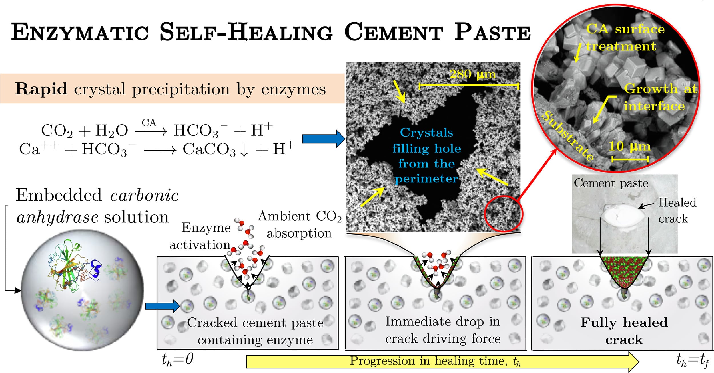 Ph: sciencedirect.com