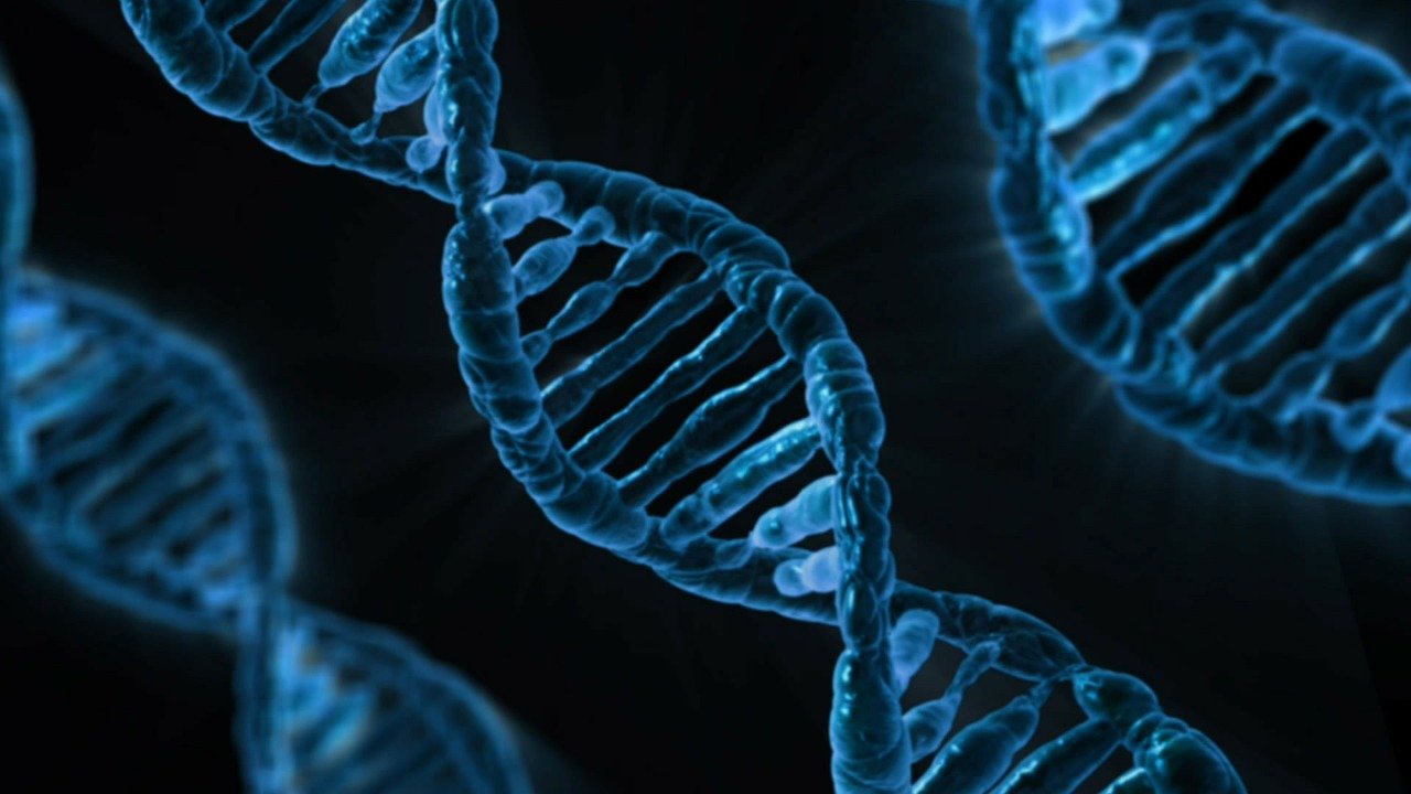 BNT111 è un vaccino antitumorale a mRNA
