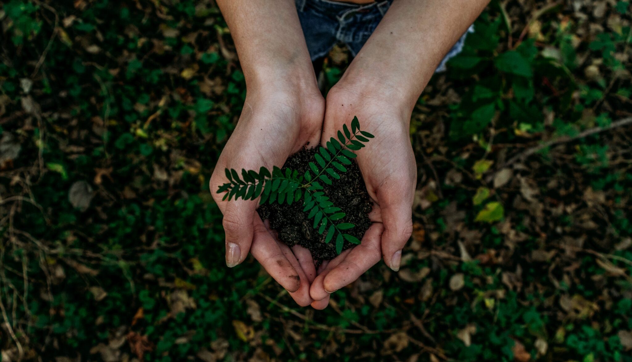 Earthcare is healthcare
