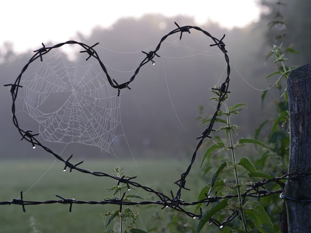 Foto di Karl-Heinz Letz