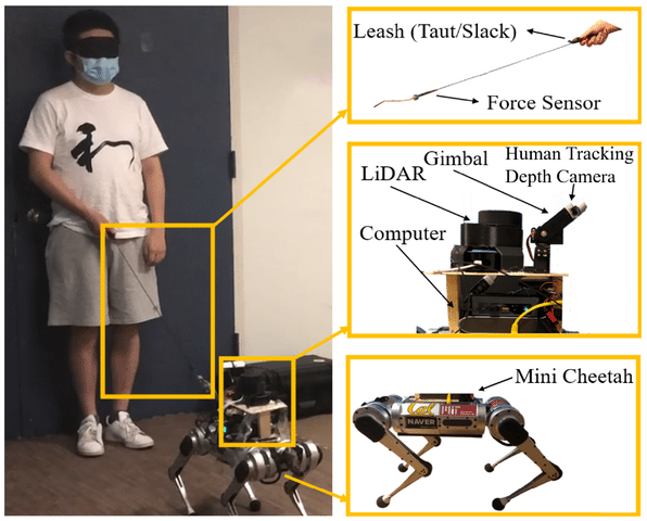 Nell’immagine è possibile vedere tutti i dettagli del sistema di guida composto dall’umano, il robot (Mini Cheetah) e il guinzaglio. Inoltre, in figura sono rappresentati anche il sensore di forza, utilizzato dal guinzaglio per monitorare la tensione eser