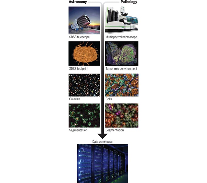 Forti parallelismi tra analisi multispettrali in astronomia e piattaforme di multiplexing emergenti per la patologia. Credits: Science