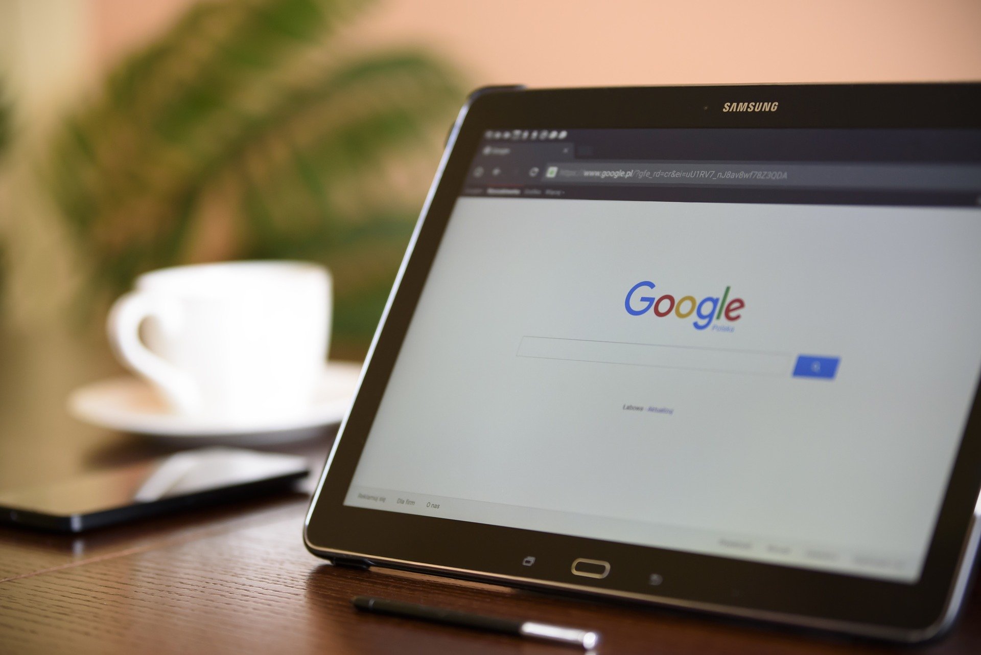 Link building e SEO