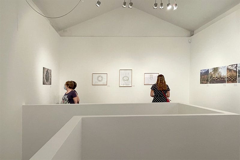 Al via "Sii albero", la mostra di Stefano Boeri in Sardegna