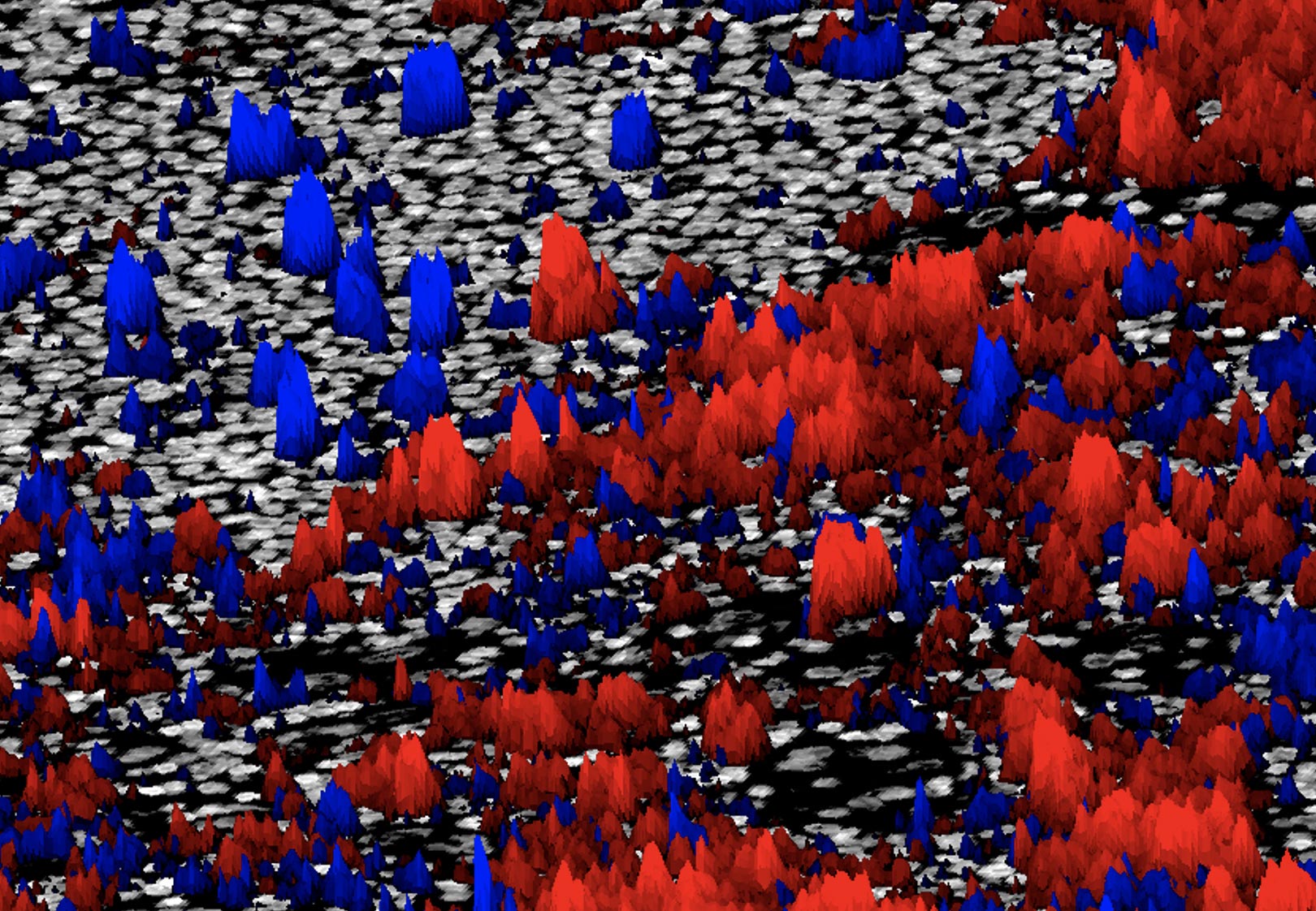 Sezione di un tessuto di melanoma. In blu e in rosso l’espressione delle proteine PD-1 e PD-L1. Credits: Seyoun Park, Ph.D