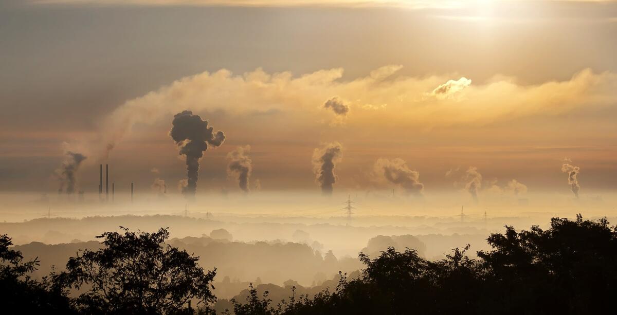 Gli effetti dell’inquinamento atmosferico su cuore e sistema immunitario - 