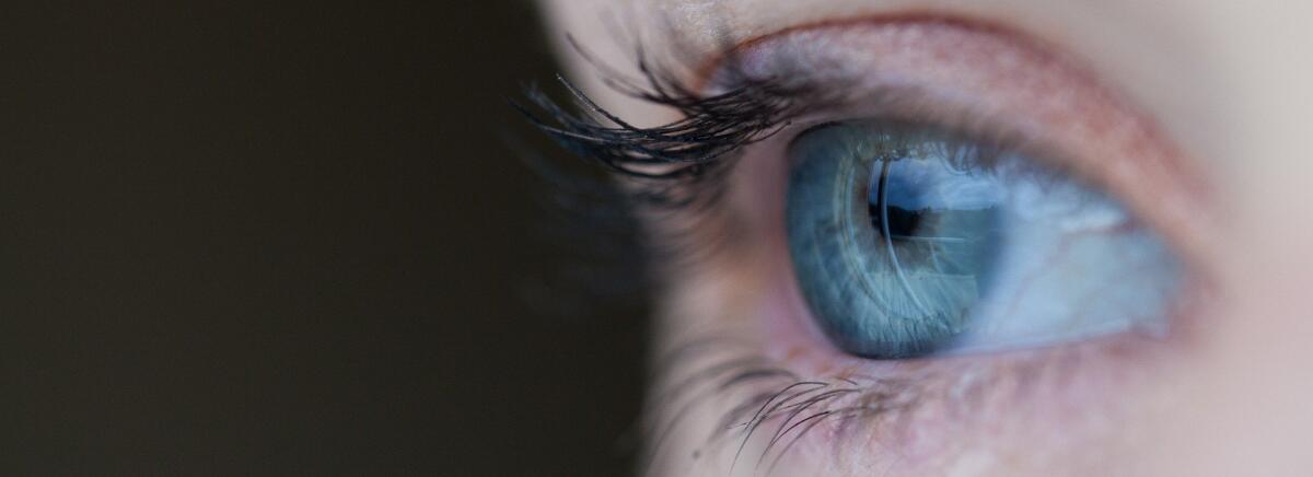 Nasce Novavido, la start-up che studierà la prima retina artificiale liquida - 