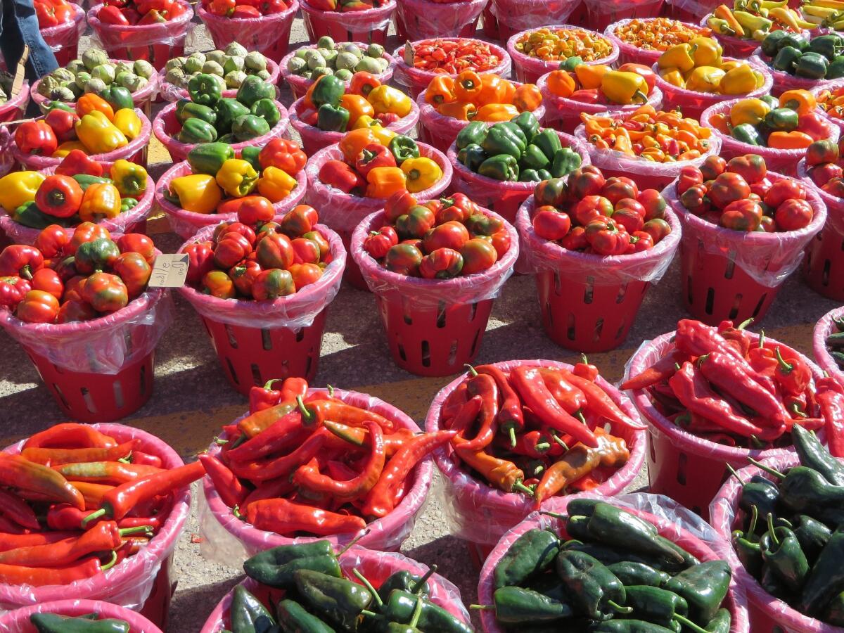I vegetali sono importanti: ecco qualche cifra - 
