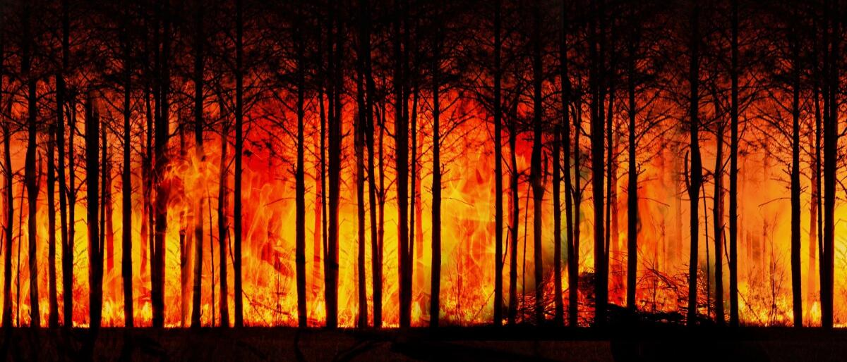 La Sardegna avvolta dalle fiamme: incendio senza precedenti - 