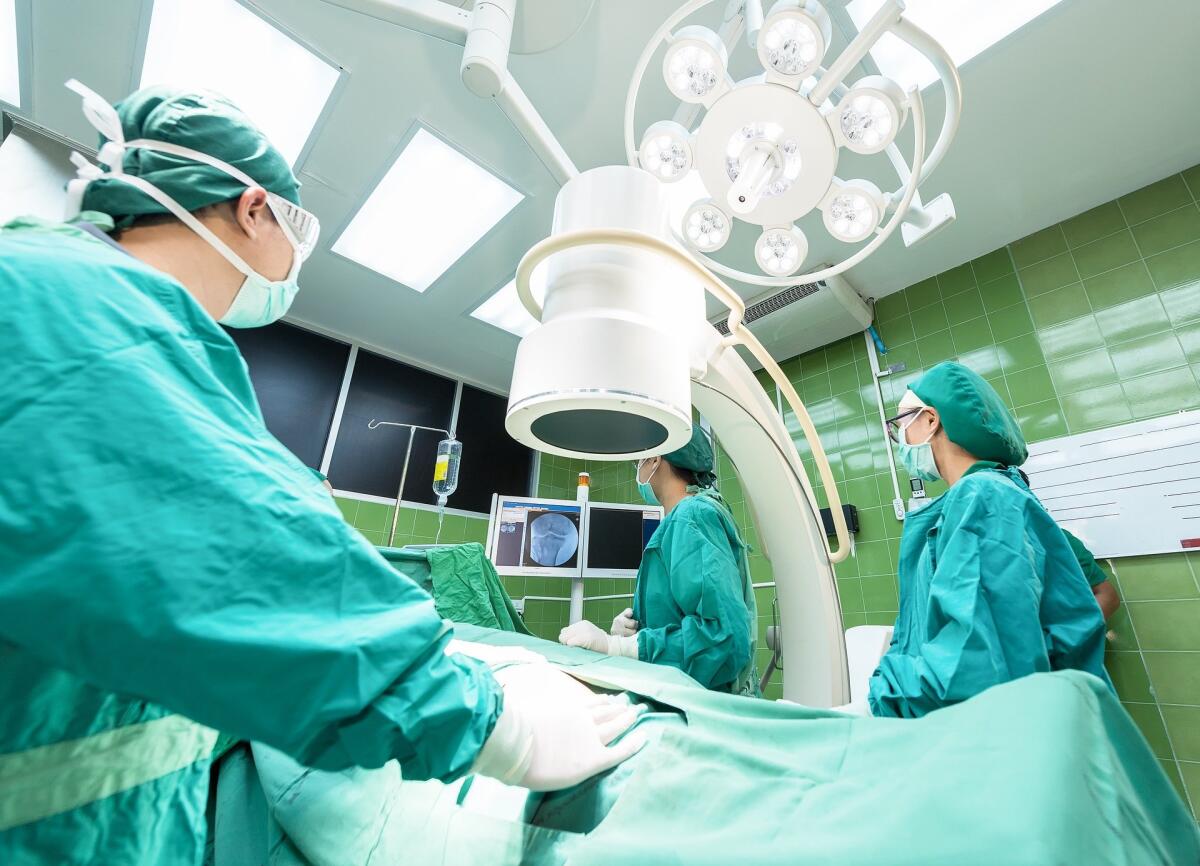 Trapianti: organi di provenienza animale e organi prodotti in laboratorio - 