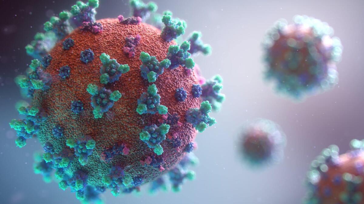 Biosensori per rivelare il virus SARS-CoV2 con transistor FET - 