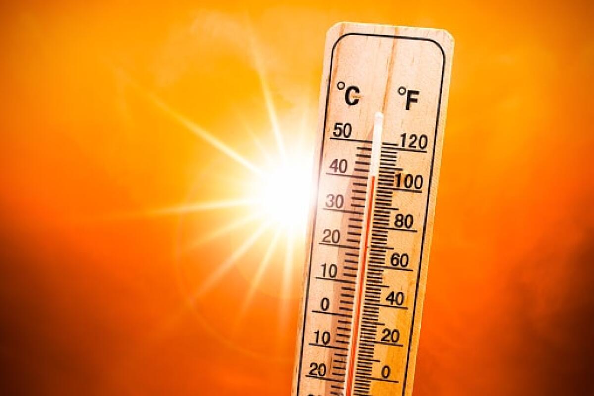 Allarme meteo: caldo da record nell'emisfero settentrionale - 