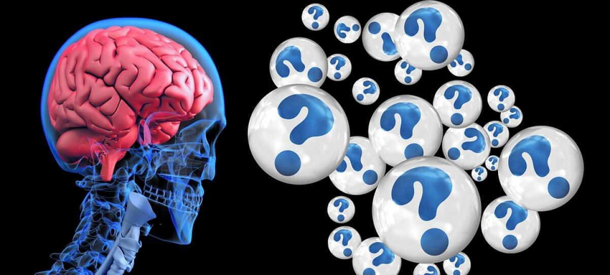 Formazione di aggregati proteici nelle patologie neurodegenerative - 