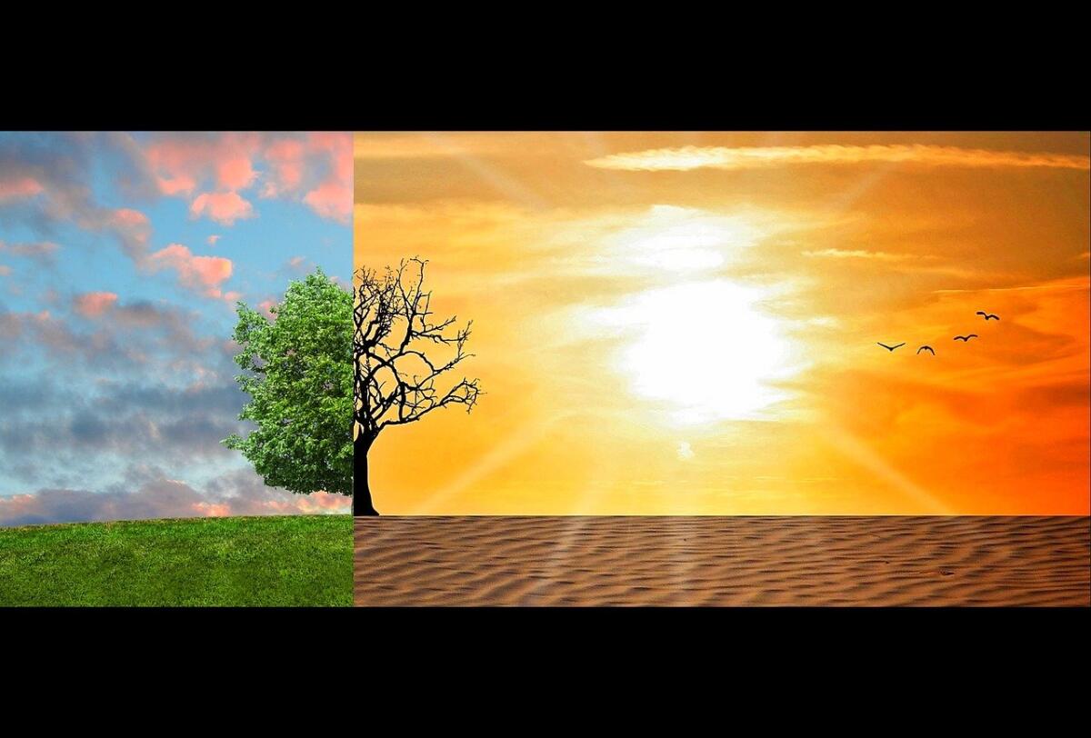 Cambiamenti climatici: come influenzano il debito pubblico di un Paese? - cambiamenti climatici