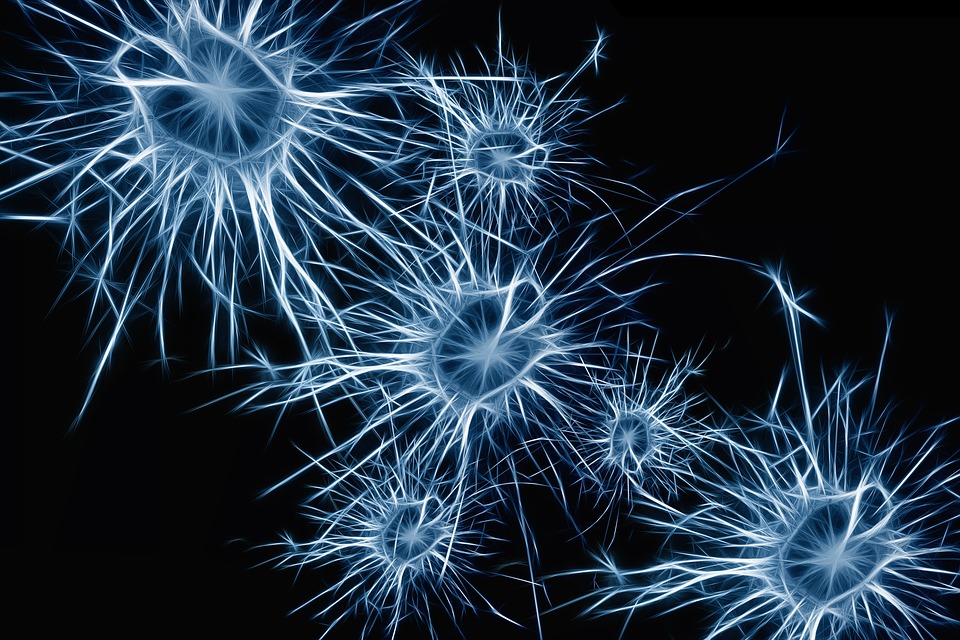Formazione di aggregati proteici nelle patologie neurodegenerative