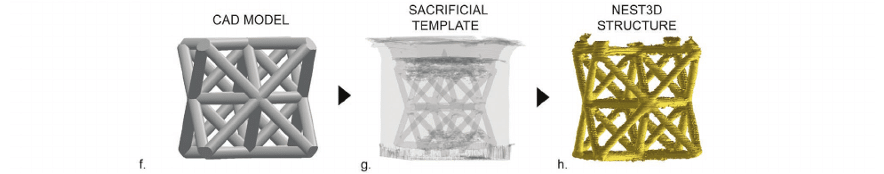 Fasi di fabbricazione della stampa NEST3D mostrate con ricostruzione micro-TC. Credits: Doyle, S. E., Duchi, S., Onofrillo, C., Quigley, A., Di, C., Pirogova, E., O'Connell, C. D., Printing between the Lines: Intricate Biomaterial Structures Fabricated vi