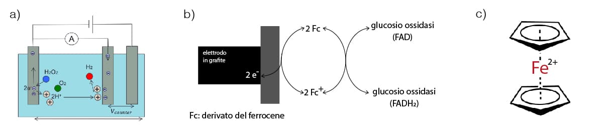 a) Funzionamento del sensore ad elettrodo in platino per la misura di H2O2. b) Funzionamento del sensore a ferrocene. c) Struttura del ferrocene
