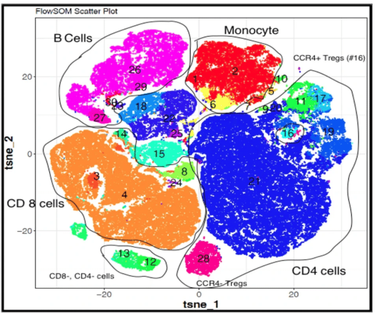 Con tecniche particolari, a partire da un prelievo di sangue è possibile identificare le diverse cellule del sistema immunitario e studiarne varie caratteristiche.