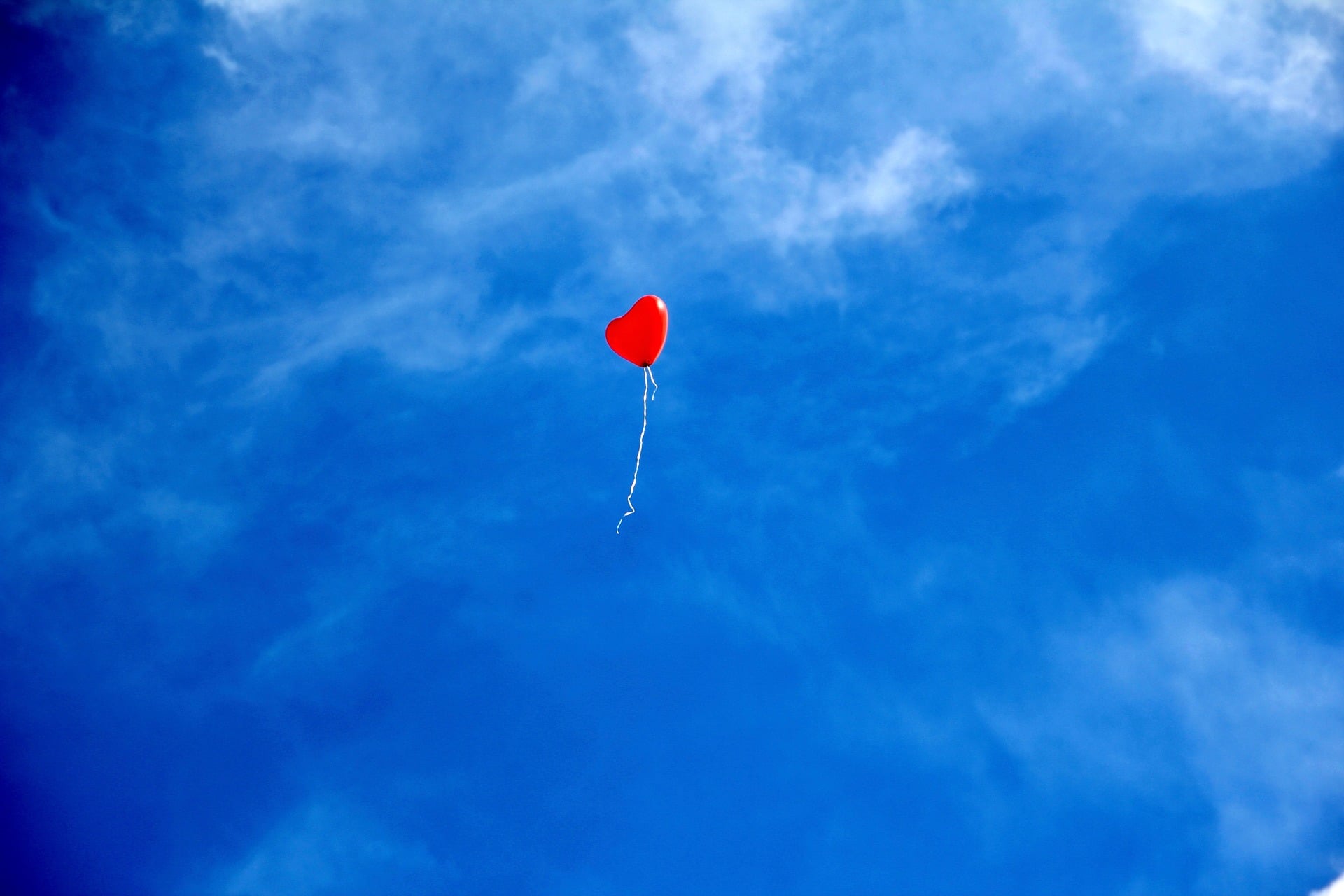 L’aria che respiriamo contiene sostanze che possono raggiungere tutti gli organi del corpo umano, incluso il sistema il cuore e il resto dell’apparato cardiovascolare.
