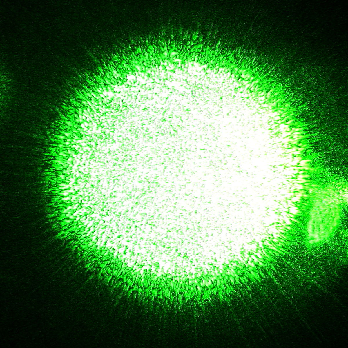 Speckle pattern. Credits: Wikimedia Commons