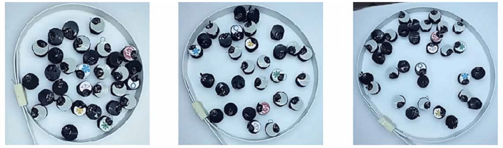 I tre diversi contenitori di plastica utilizzati per gli esperimenti. Da sinistra verso destra, dal più piccolo al più grande. Fonte: National University of Science and Technology MISiS.