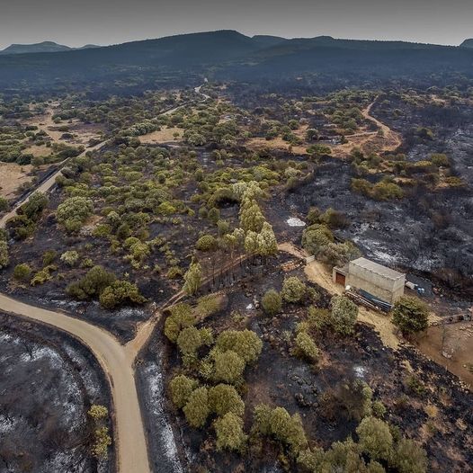 Incendi Sardegna