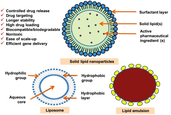 Credits: Nanotechnology-Based Approaches for Targeting and Delivery of Drugs and Genes, Chapter 8 - Solid Lipid Nanoparticles for Targeting and Delivery of Drugs and Genes, https://www.sciencedirect.com/science/article/pii/B9780128097175000105.