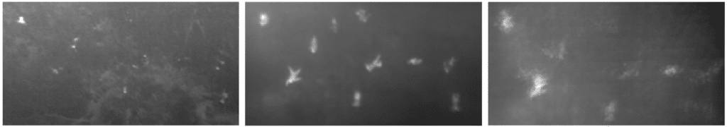 L'immagine elaborata dall'algoritmo di Computer Vision utilizzato dal drone. Fonte: Johannes Kepler University