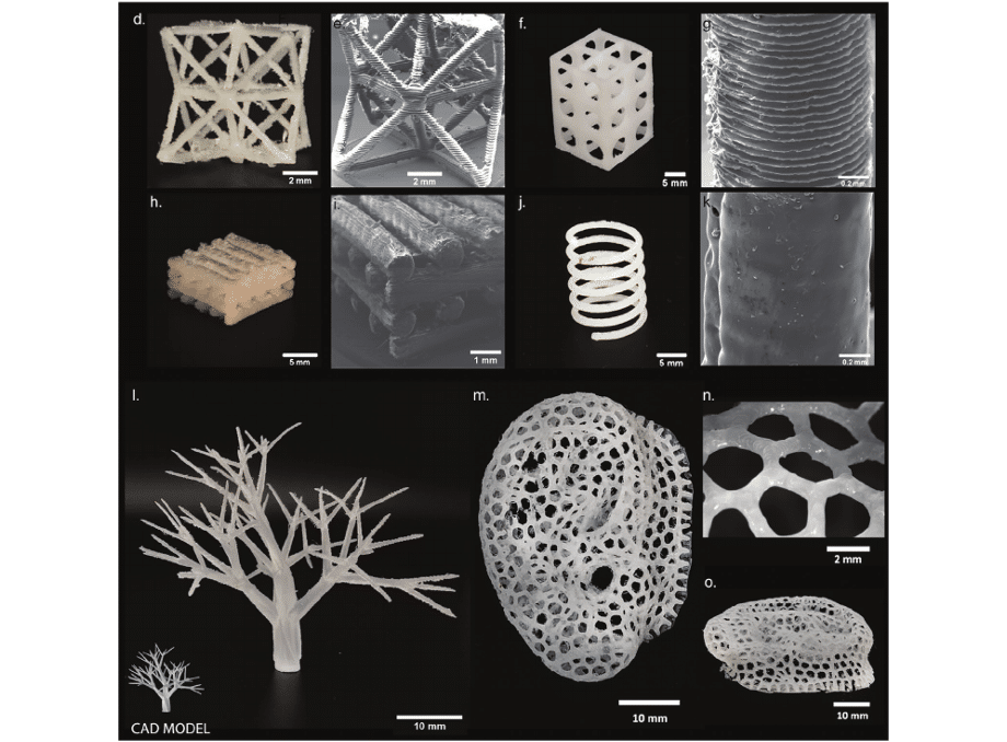 Design di modelli realizzati con stampa NEST3D in PCL. Credits: Doyle, S. E., Duchi, S., Onofrillo, C., Quigley, A., Di, C., Pirogova, E., O'Connell, C. D., Printing between the Lines: Intricate Biomaterial Structures Fabricated via Negative Embodied Sacr