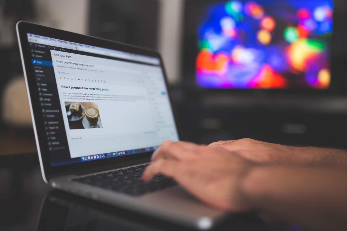 WordPress: “re” dei CMS e utilissimo strumento di web marketing - 