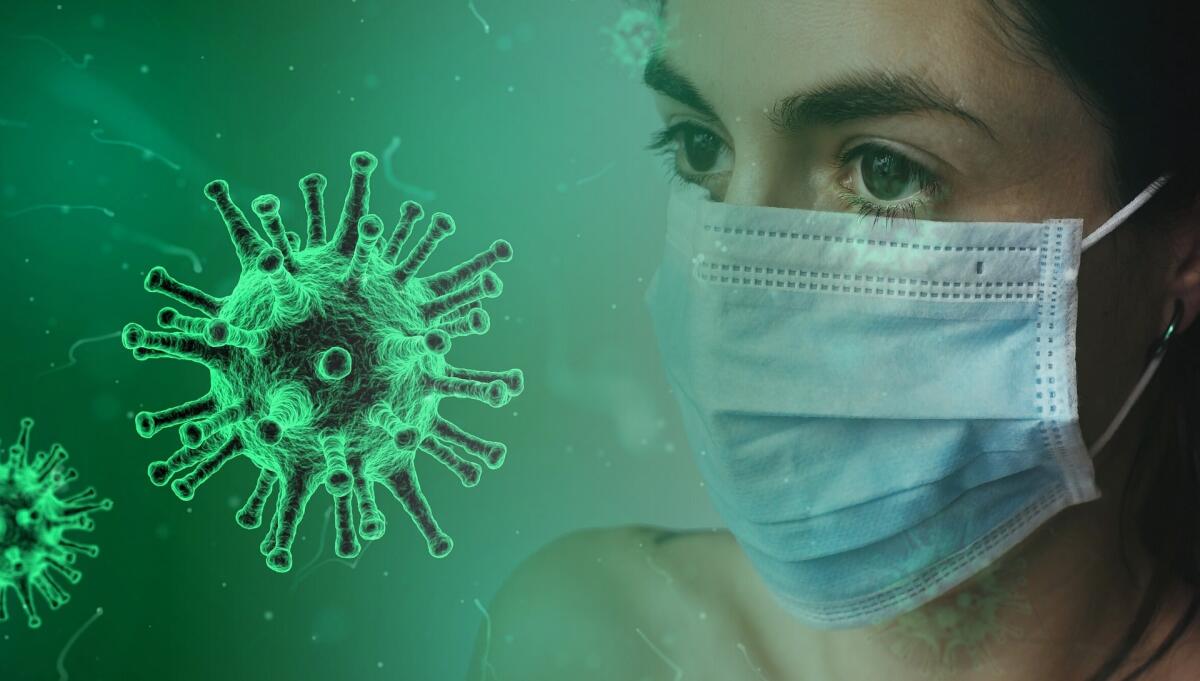 Covid19 e gravidanza: nuove evidenze sulla risposta al virus - 