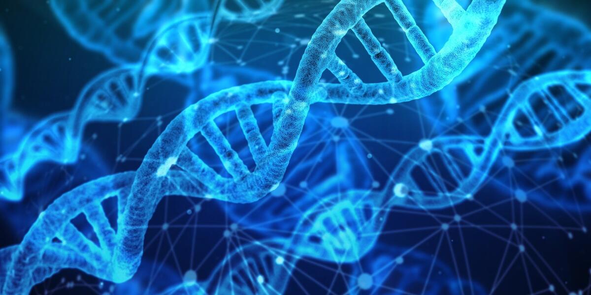 Attuali applicazioni delle tecnologie del DNA ricombinante - 
