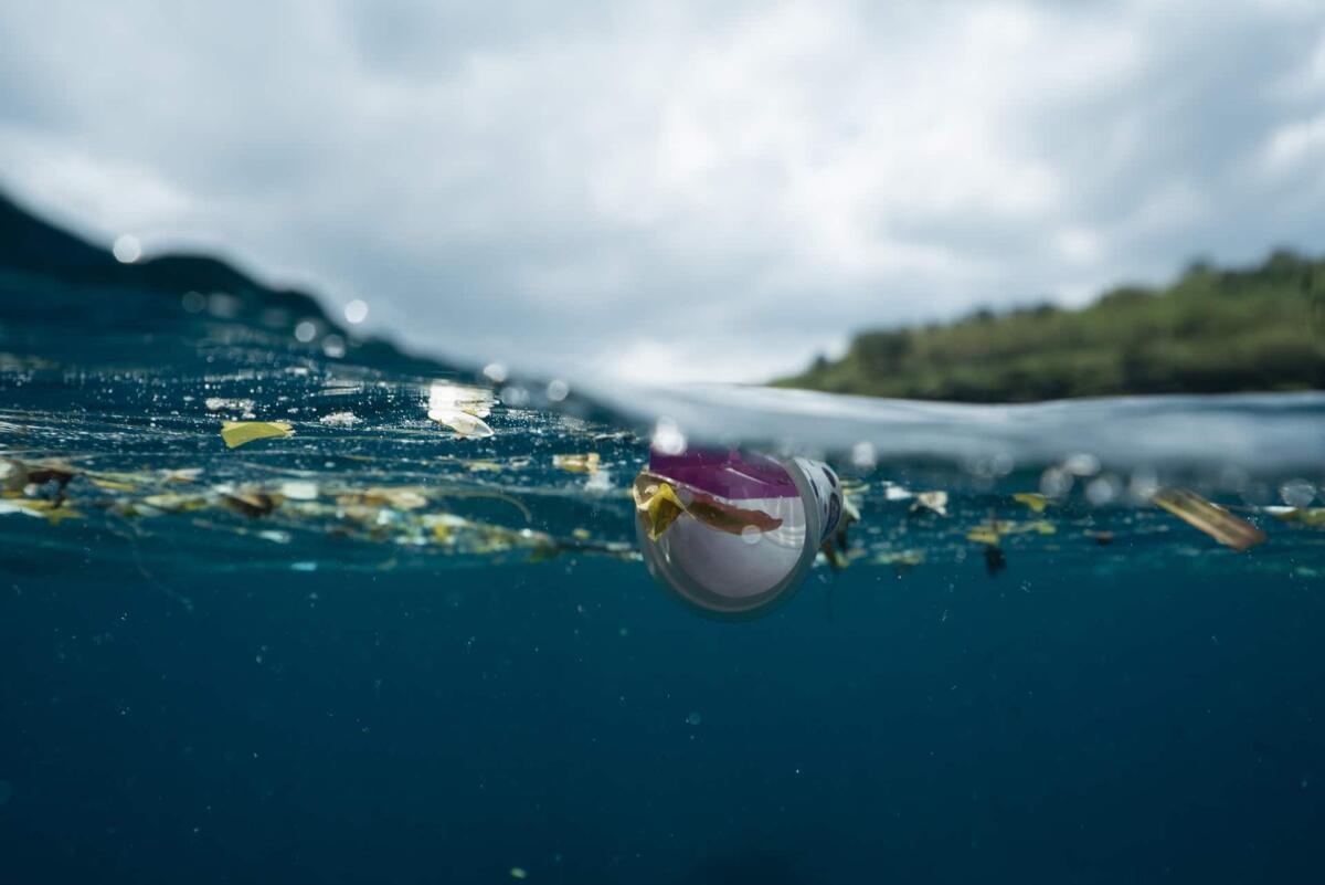 The Manta Boat: gigante contro l’inquinamento della plastica - pexels.com
