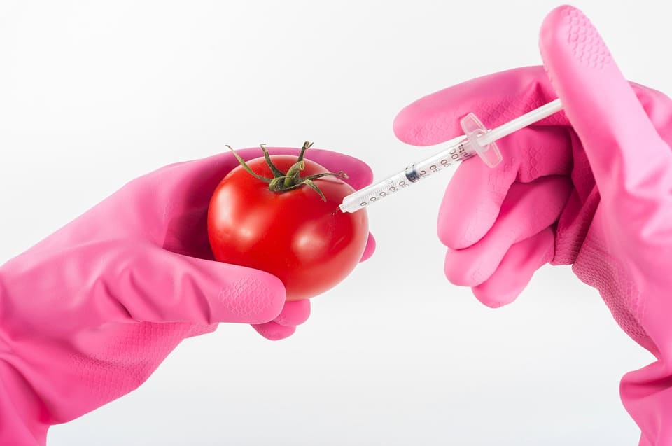 Attuali applicazioni delle tecnologie del DNA ricombinante