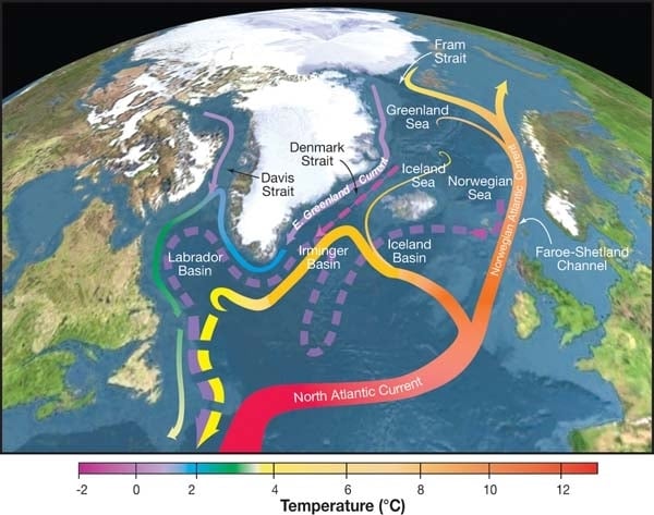 Il sistema della AMOC. Fonte: R. Curry, Woods Hole Oceanographic Institution/Science/USGCRP