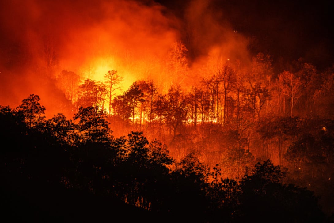 Emergenza incendi: un pianeta avvolto dal fuoco