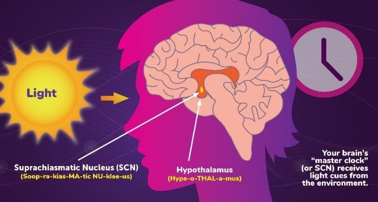 Credits: National Institute of General Medical Sciences
