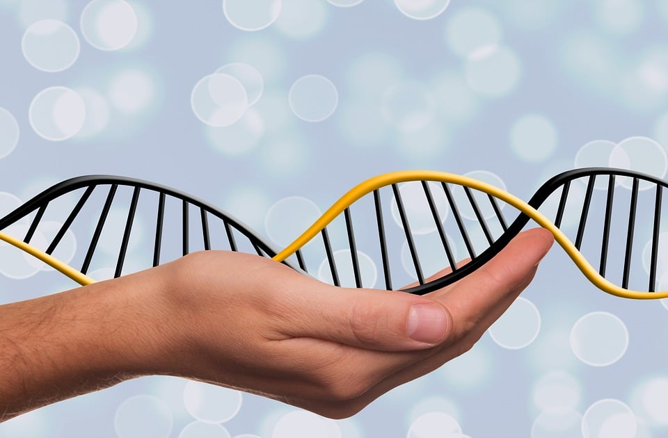 DNA ricombinante