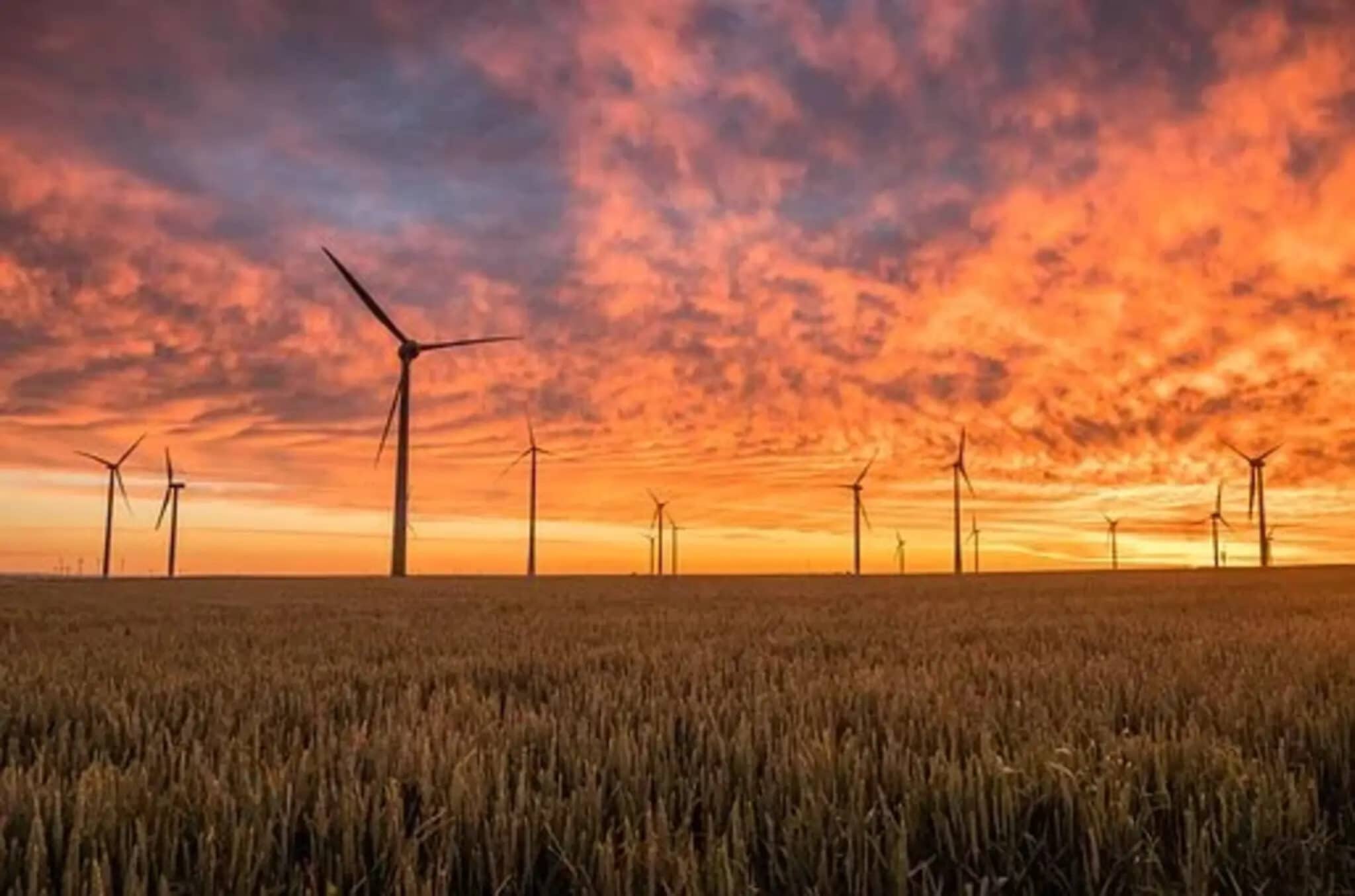 Verso la neutralità climatica: il ruolo delle città