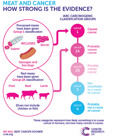 Diagramma di classificazione della carne e delle carni lavorate come cancerogene secondo la IARC.Vostrikova, N. L., Kuznetsova, O. A., Kulikovskii, A. V., & Minaev, M. Y. (2018). Formation of the scientific basis of meta-data associated with estimates of 