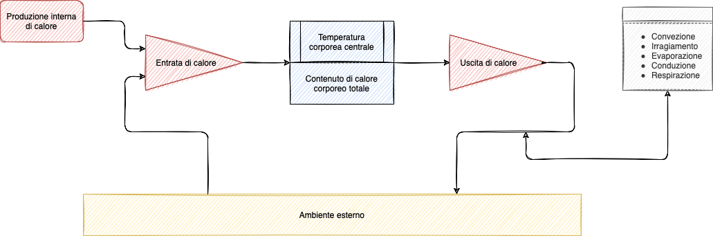 Risposte alle variazioni di temperatura