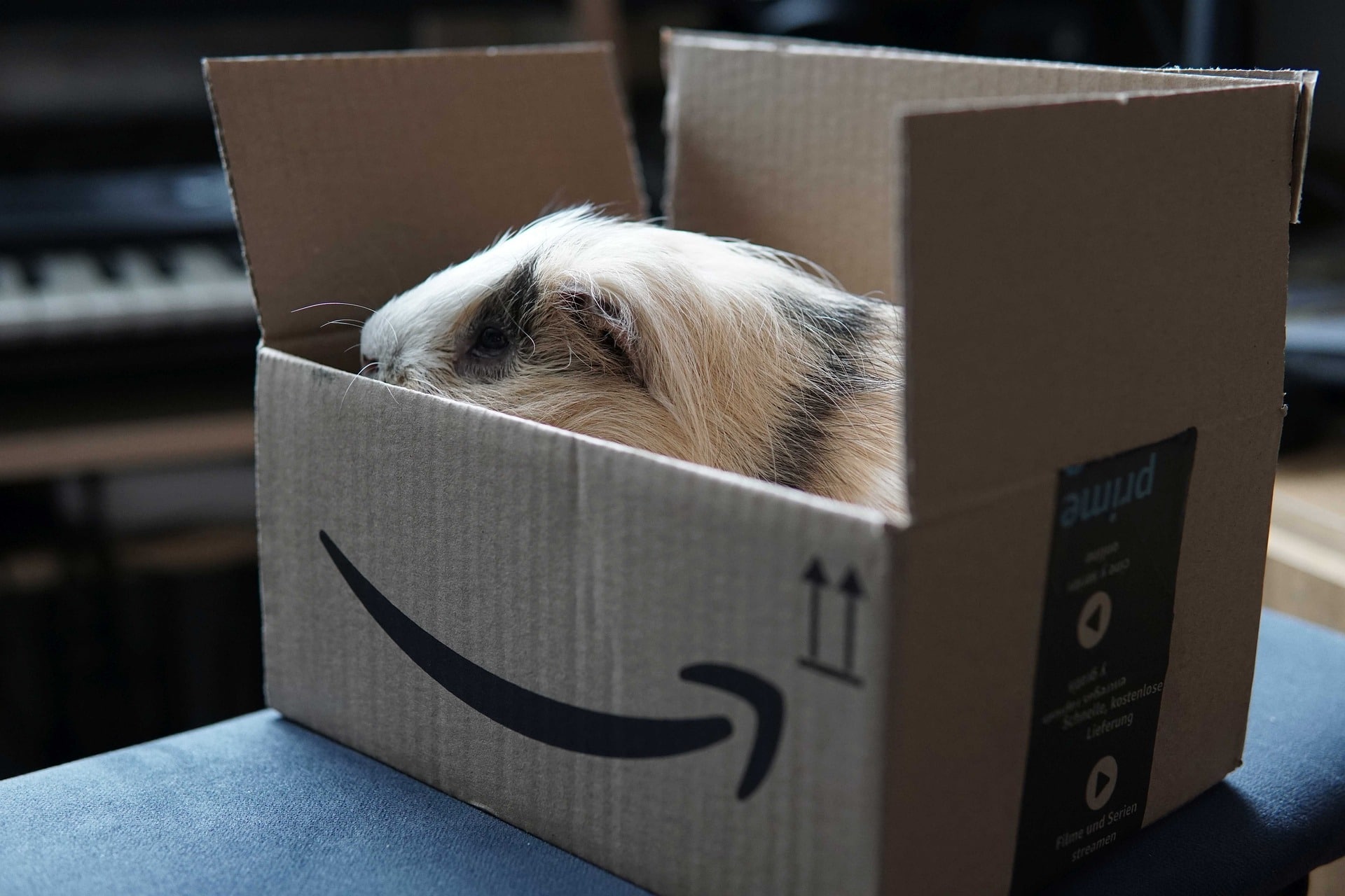 Sul pacco è visibile l'inconfondibile logo di Amazon e del suo servizio di delivery veloce (Prime)