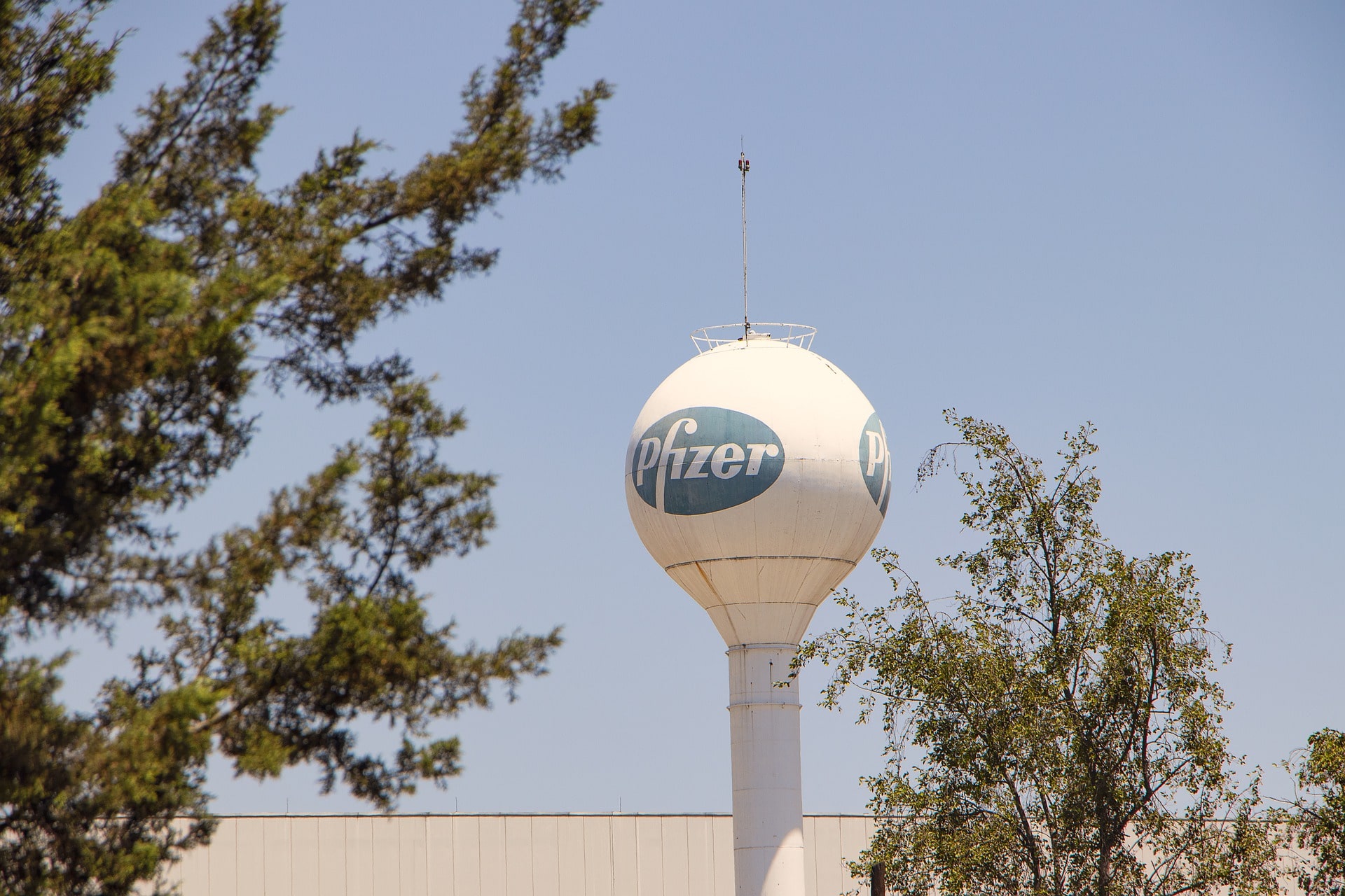 vaccino pfizer