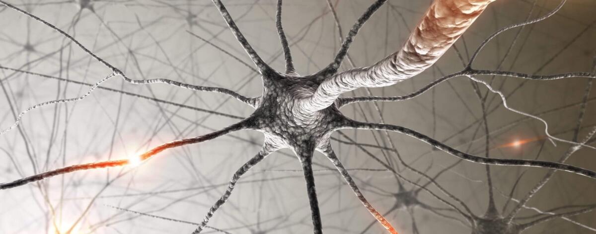 Neuroscienze e grafene: un nuovo passo avanti - Credits: thesciencebridge.org