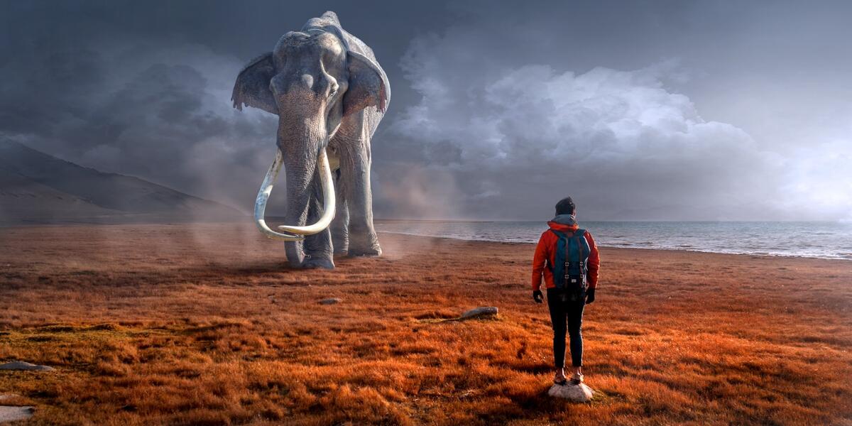 Perché una società sta cercando di riportare in vita il mammut lanoso? - Perché una società sta cercando di riportare in vita il mammut lanoso?